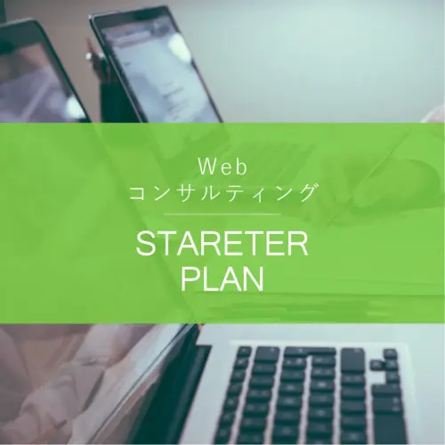 Webコンサルティング – スタータープラン