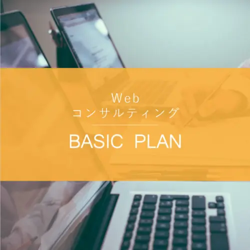 Webコンサルティング – ベーシックプラン